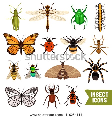 Insects Flat Icons Set with Fly Ladybug and Bumblebee Isolated Vector Illustration