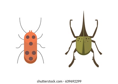 insects flat style vector design icons. Collection nature beetle and zoology cartoon illustration. Bug icon wildlife concept.