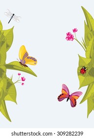 Insects and flowers. Background for design. Vector
