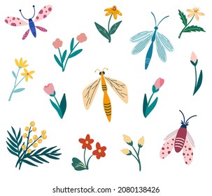 Insects and flowers collection. Butterflies, dragonflies, beetles and flowers. Bundle of decorative design elements. Spring time. Vector cartoon hand draw illustration.