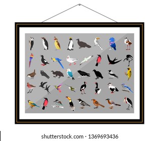 Insects in a frame. Herbarium. Woodpecker, penguin, toucan, bird secretary, parrot, tern, goose, gull, swallow, flamingo, raven, vulture, raven, deadlock, hummingbird, tit, finch. Vector illustration