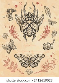Insects frame. Old paper vector. Cover page template. Stag beetle, bee, butterfly, snail. Vertical background