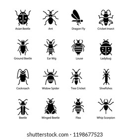 Insects Glyph Icons