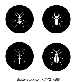 Insects glyph icons set. Ant, stag beetle, ground bug, phasmid. Vector white silhouettes illustrations in black circles