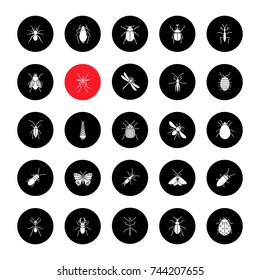 Insects glyph icons set. Bugs. Entomologist collection. Butterfly, earwig, stag bug, phasmid, moth, ant, mantis, spider. Vector white silhouettes illustrations in black circles