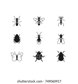 Insects glyph icons set. Spider, mantis, cockroach, woodlice, housefly, ladybug, mite, moth. Silhouette symbols. Vector isolated illustration