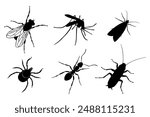 Insects graphic icons set. Insects signs close up isolated on white background. Vector illustration