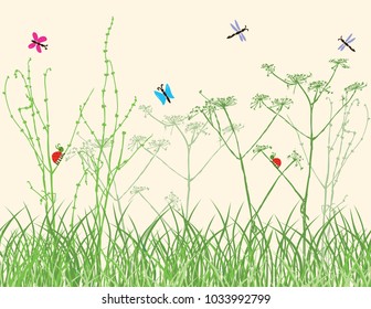 Insects in the grass on a summer meadow
