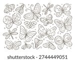 Insects hand drawn outline doodle background. Butterflies and moths drawing clipart. Vector illustration.