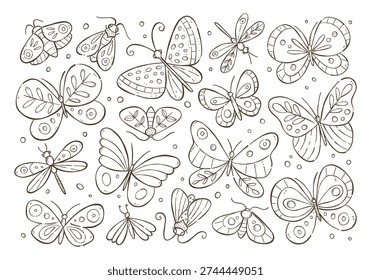 Insects hand drawn outline doodle background. Butterflies and moths drawing clipart. Vector illustration.