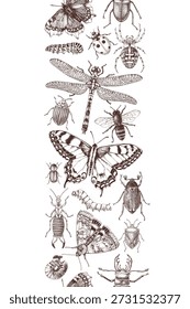 Insects hand drawn vertical seamless border