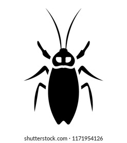 
Insects having longhorn and legs known as longhorn beetle 

