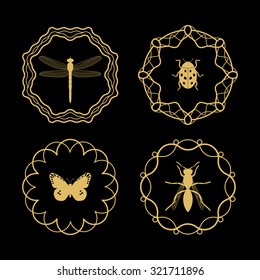 Insects hipster labels. Butterfly and dragonfly in calligraphy framework