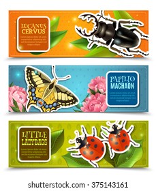 Insects horizontal banners set with ladybugs and machaon realistic isolated vector illustration 