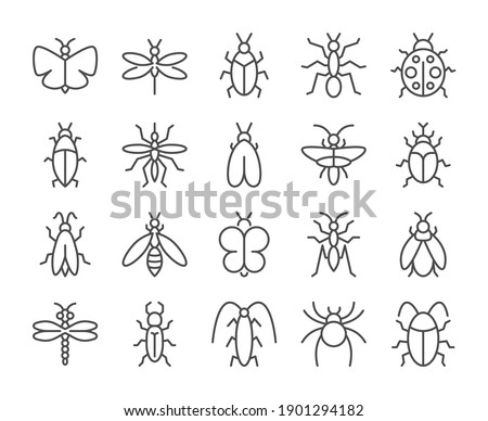 Insects icon. Bugs line icons set. Vector illustration. Editable stroke.