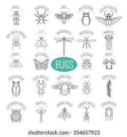 Insects icon flat style. 24 pieces in set. Outline version. Vector illustration