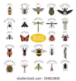 Insects icon flat style. 24 pieces in set. Colour version. Vector illustration