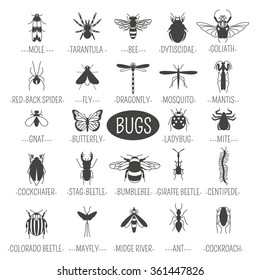 Insects icon flat style. 24 pieces in set. Outline version. Vector illustration