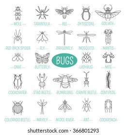 Insects icon flat style. 24 pieces in set. Outline version. Vector illustration