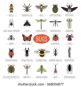 Insects icon flat style. 24 pieces in set. Color version. Vector illustration