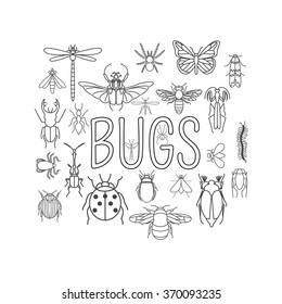 Insects icon flat style. 24 pieces in set. Outline version. Vector illustration