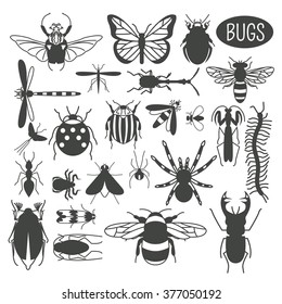 Insects icon flat style. 24 pieces in set. Colour version. Vector illustration