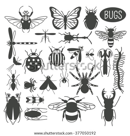 Insects icon flat style. 24 pieces in set. Colour version. Vector illustration