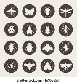 Insects icon set