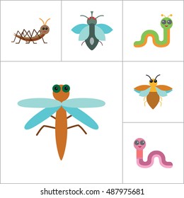 Insects Icon Set