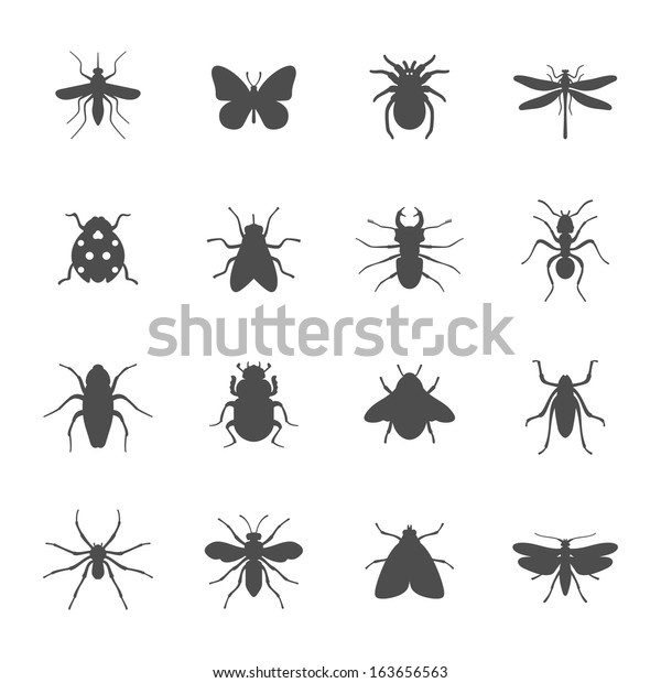 Insects icon
set