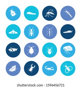 Insects icon set and aphid with swallow tail caterpillar, stickbug and eyed hawk moth. Arachnid related insects icon vector for web UI logo design.