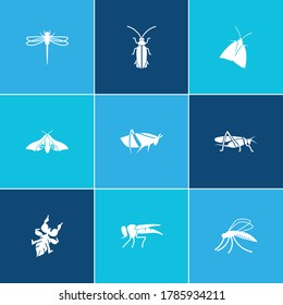 Insects icon set and firefly with eyed hawk moth, leaf cricket and butterfly. Gnat related insects icon vector for web UI logo design.