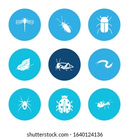 Insects icon set and honey ant with leaf butterfly, dragonfly and insect. Monarch related insects icon vector for web UI logo design.