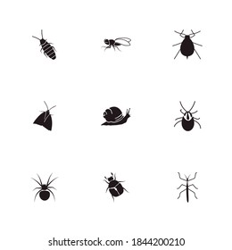 Insects icon set and snail with pest, horsefly and aphid. Pest related insects icon vector for web UI logo design.