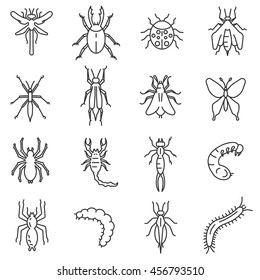 Insects icon set. Thin line design