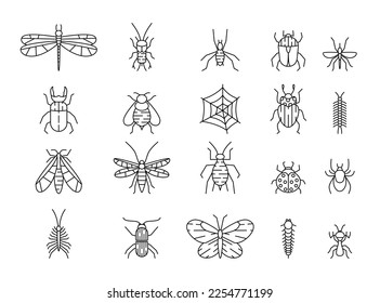 Insects icons. Line ant and mosquito, butterfly and different bugs. Animals with web, beetle, bees and pests, dragonflies and mantis. Outline pictogram. Vector illustration garish set