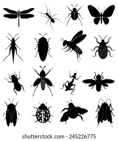 Insects icons set