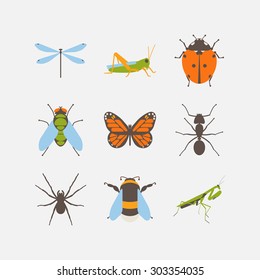 Insects icons set. Collection of flat vector web icons. Vector template butterfly and bugs creatures .