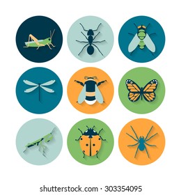 Insects icons set. Collection of flat vector web icons. Vector template butterfly and bugs creatures .