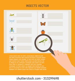Insects icons set. Collection of flat vector web icons. Vector template butterfly and bugs creatures. Iconographic card with collectors album, loop and insects collection.