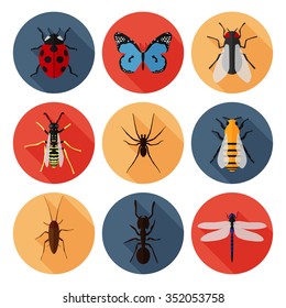 Insects icons set flat. Ladybug, butterfly, fly, wasp, spider, bee, cockroach, ant, dragonfly