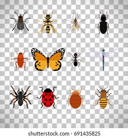 Insects icons set isolated on transparent background, vector illustration