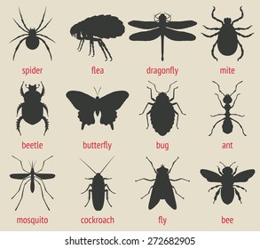 insects icons set - vector illustration. eps 8