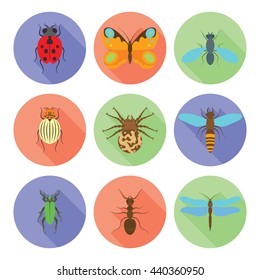 Insects icons vector flat style isolated on white background.