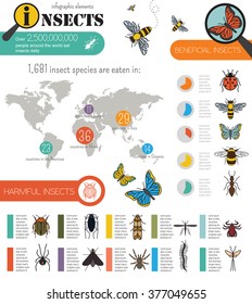 Insects infographic template. Vector illustration