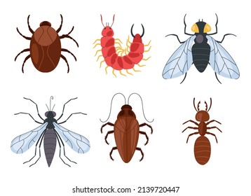 Insects isolated on white background graphic design element set collection