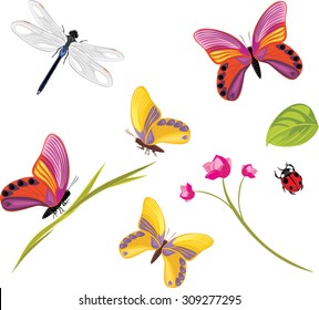 Insects isolated on a white background. Vector
