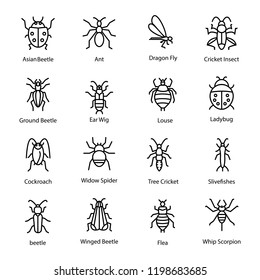 Insects line icons