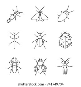 Insects linear icons set. Earwig, moth, cockroach, stick bug, ground and stag beetles, ladybug, housefly, grasshopper. Thin line contour symbols. Isolated vector outline illustrations