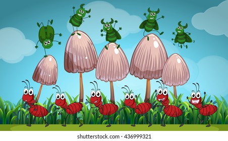 Insects living in the garden illustration